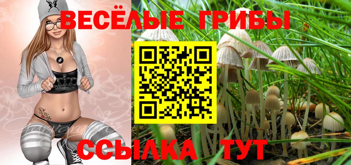 Галлюциногенные грибы мухоморы Чапаевск